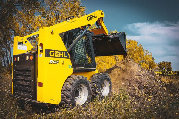 Gehl R165 - Image 9
